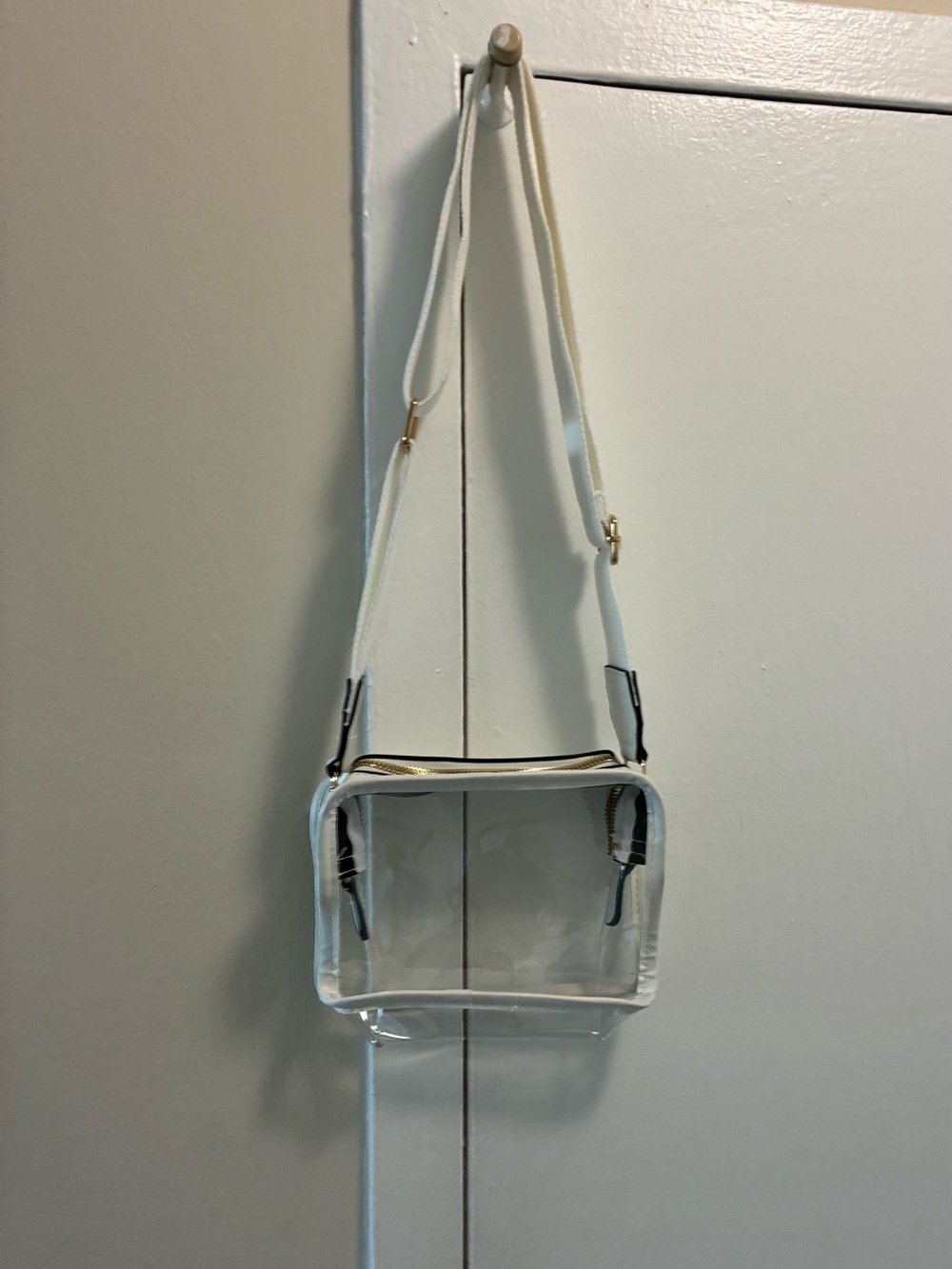 Clear Crossbody Bag with White Trim